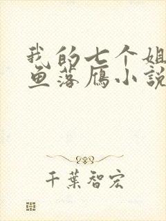 我的七个姐姐沉鱼落雁小说免费