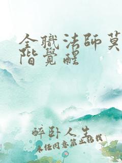 全职法师莫凡中阶觉醒