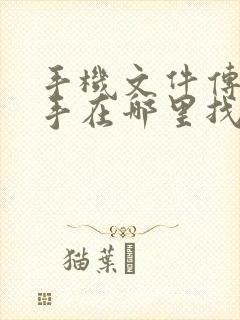 手机文件传输助手在哪里找到