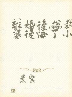 离婚后,总裁老婆后悔了小说完整