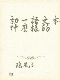 初一语文本子用什么样的