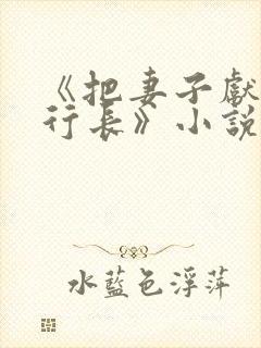 《把妻子献给张行长》小说