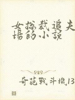 女总裁追夫火葬场的小说