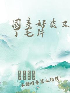 国产好爽又高潮了毛片