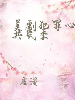 美剧犯罪心理一共几季