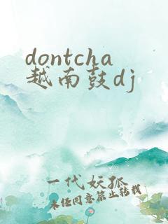dontcha越南鼓dj