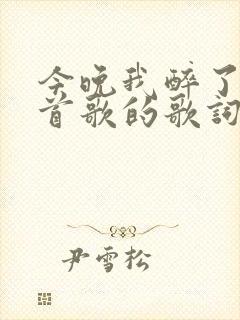 今晚我醉了是哪首歌的歌词