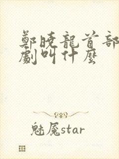 郑晓龙首部谍战剧叫什么