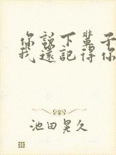 你说下辈子如果我还记得你是哪首歌