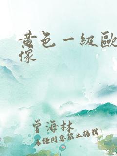 黄色一级欧美录像