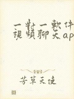 一对一软件可以视频聊天app