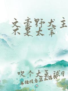 文豪野犬主角是不是太宰