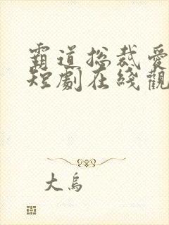 霸道总裁爱上我短剧在线观看免费高清