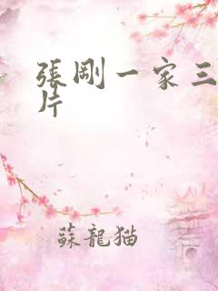 张刚一家三口照片