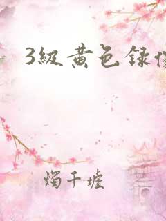 3级黄色录像