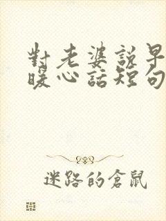 对老婆说早安的暖心话短句