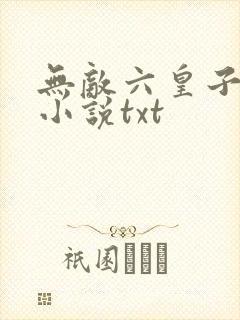 无敌六皇子云铮小说txt