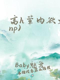 高h荤肉欲文(np)