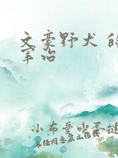 文豪野犬 的太宰治