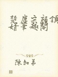 楚尘宋颜镇国神婿笔趣阁