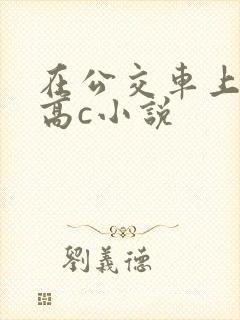 在公交车上弄到高c小说