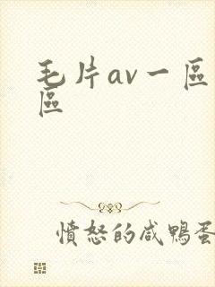 毛片av一区二区