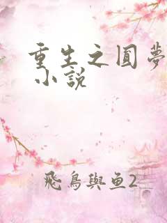 重生之圆梦人生 小说