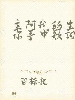 主阿我的生命在你手中歌词歌谱带歌谱