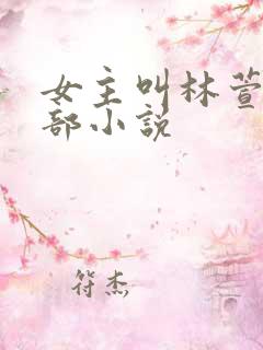 女主叫林萱是哪部小说