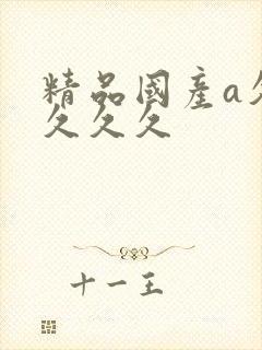 精品国产a久久久久久