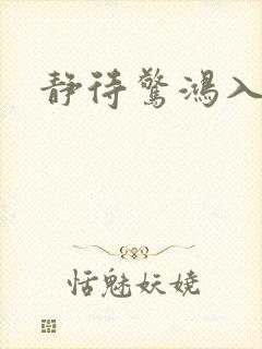 静待惊鸿入翁