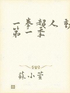 一拳超人 动漫第一季