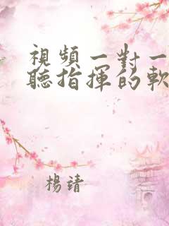 视频一对一聊天听指挥的软件