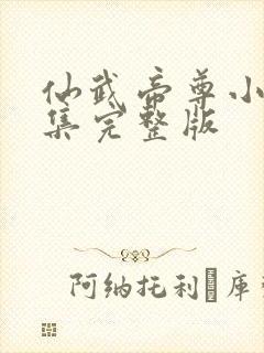 仙武帝尊小说全集完整版