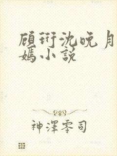 顾珩沈晚月林清嫣小说