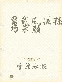 医武风流孙哲叶巧朱颜