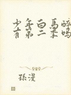 少年白马醉春风有第二季吗