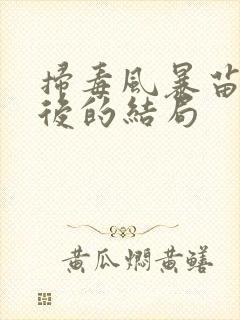 扫毒风暴苗伦最后的结局