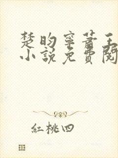 楚昀宁萧王穿越小说免费阅读无弹窗