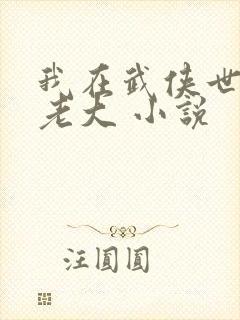 我在武侠世界当老大 小说