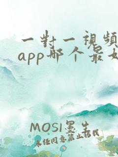 一对一视频聊天app哪个最好