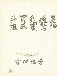 斗罗武魂是十二祖巫震惊神界