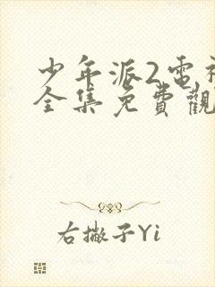 少年派2电视剧全集免费观看完整版