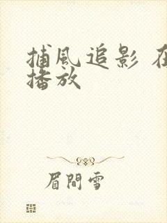捕风追影 在线播放