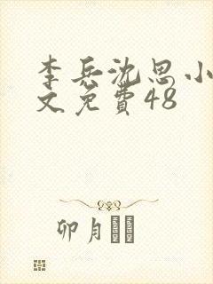 李兵沈思小说全文免费48