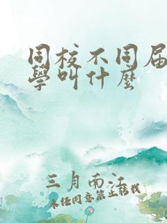 同校不同届的同学叫什么