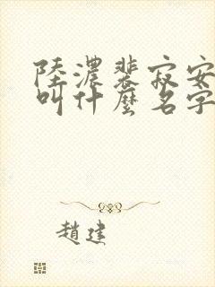 陆浓裴寂安小说叫什么名字