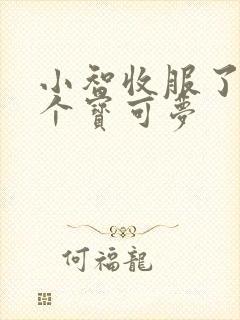 小智收服了多少个宝可梦