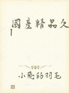 国产精品久久久l