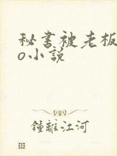 秘书被老板cao小说